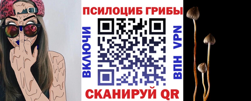 что такое   Монино  Псилоцибиновые грибы прущие грибы 